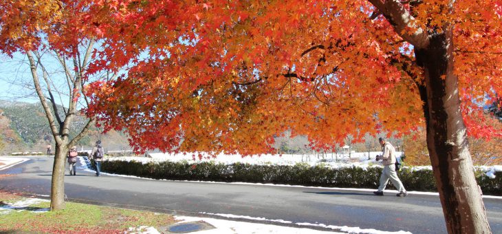 宮ヶ瀬湖-2016.11.25